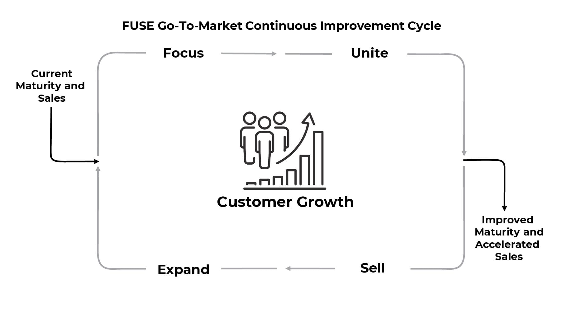 FUSE Iterative Go-To-Market Maturity FUSE Iterative Go-To-Market Maturity
