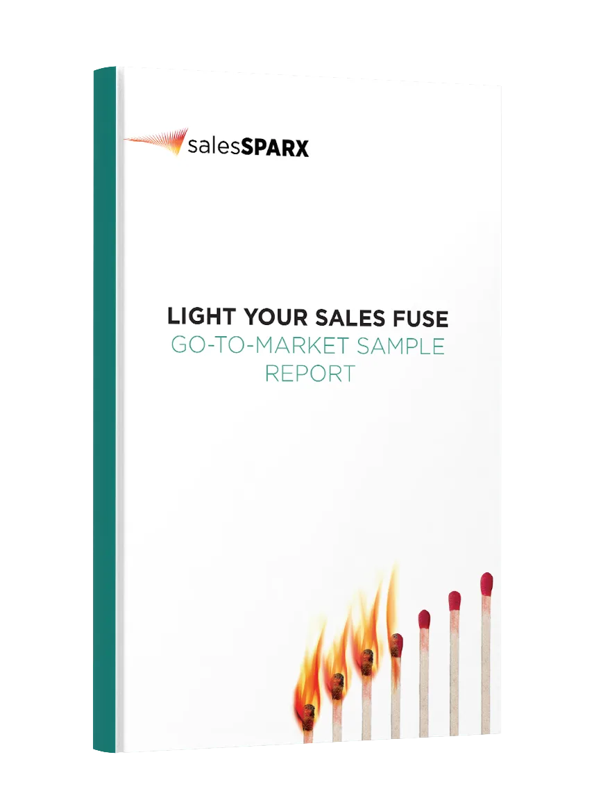 Go-To-Market Sample Report